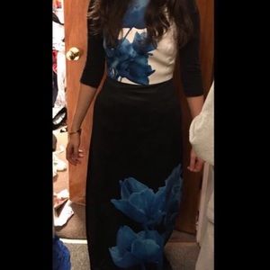 Ted Baker London gown -gorgeous gown!